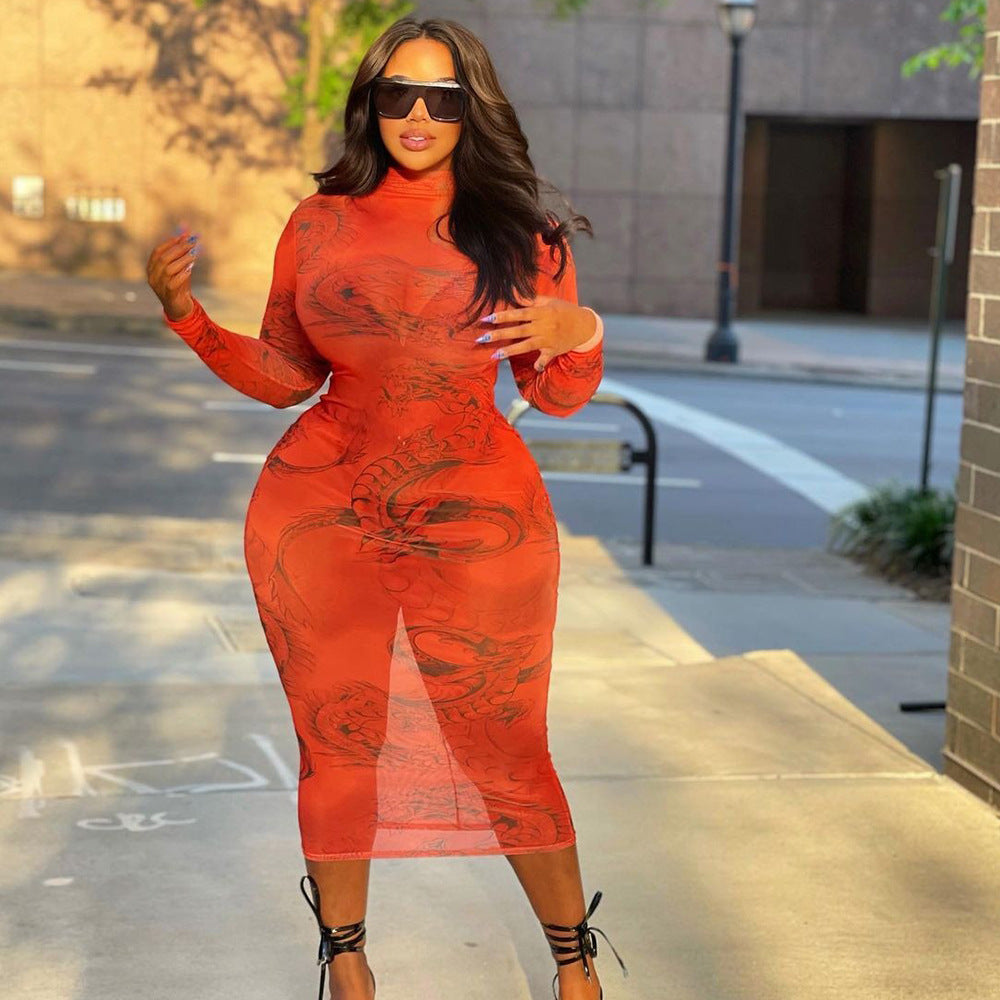 PB Di Moda Mesh Print Sheer Long Sleeve Dress